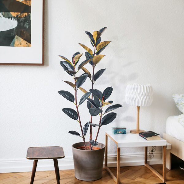 Office Greenery