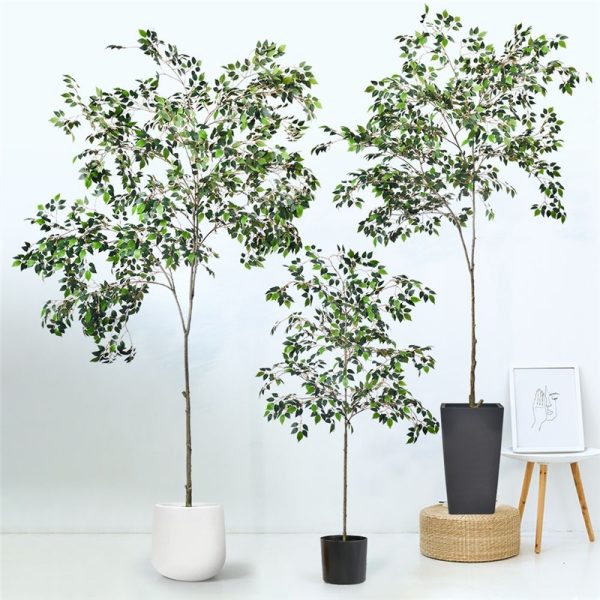commercial space green plants