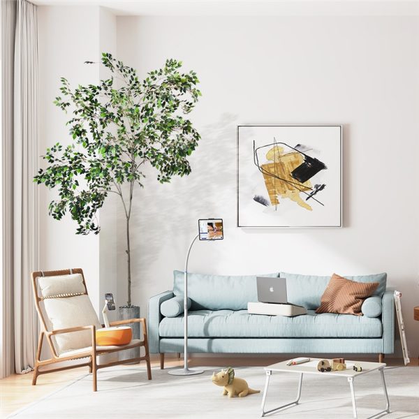 hotel decorative plants