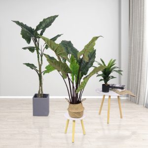 Artificial Rainbow Alocasia