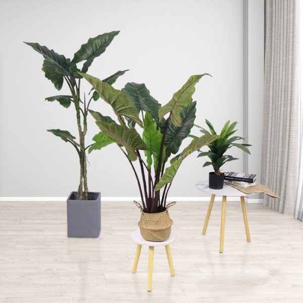 Artificial Rainbow Alocasia