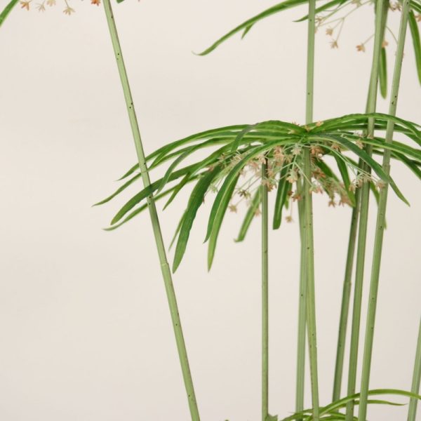Commercial Artificial Greenery