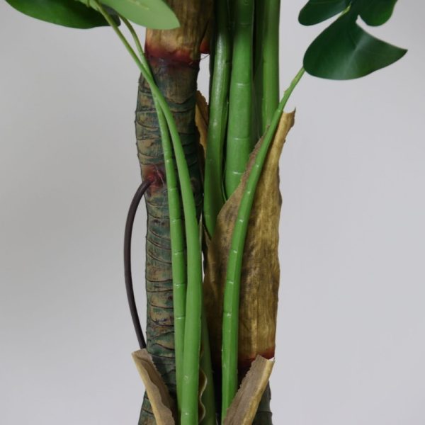 high-realism plants
