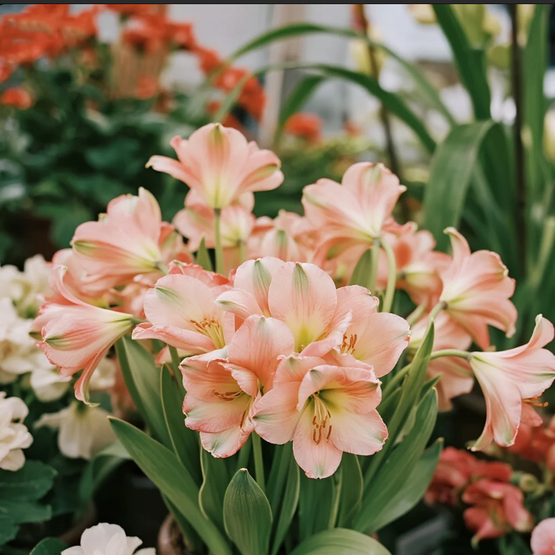 Simulated plant quality testing method