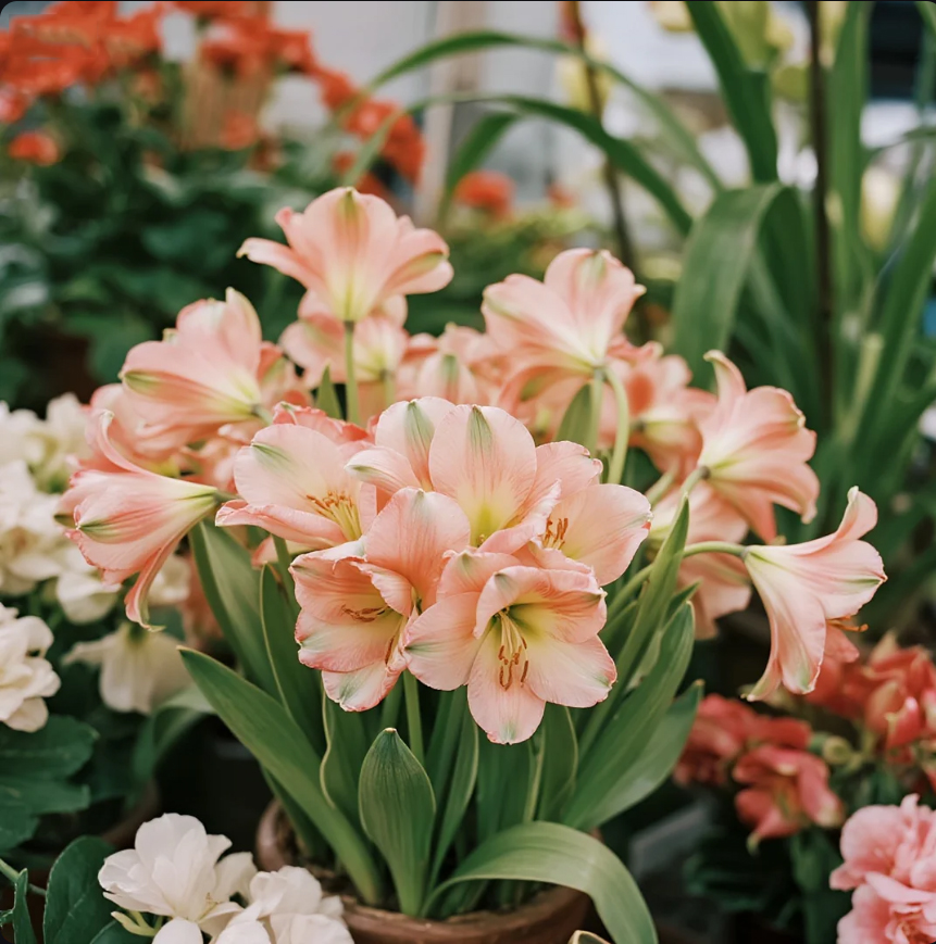 Artificial floral custom wholesale