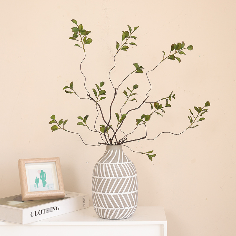 Home Plant Decoration