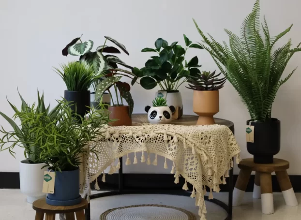 Artificial plant decoration case